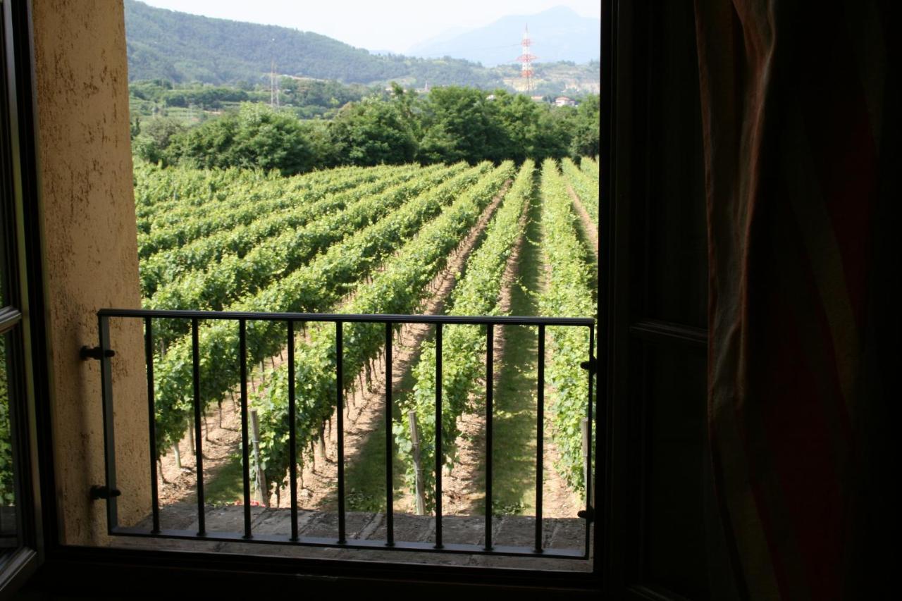 Agriturismo Ripa Del Bosco Capriolo Exterior foto